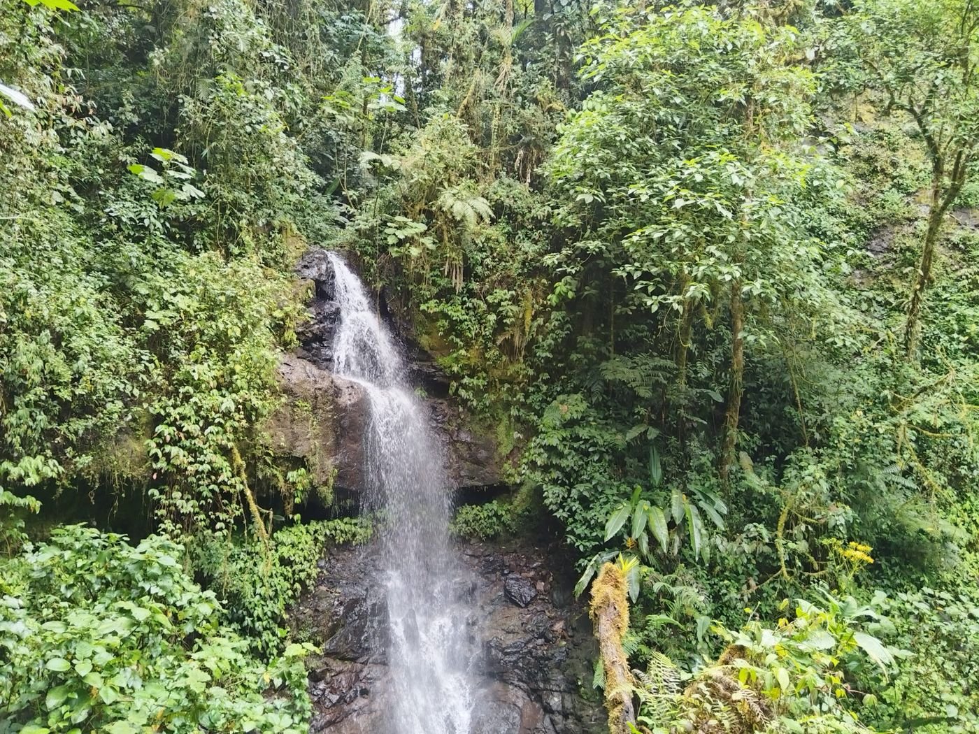 Munduk, North Bali mountains
