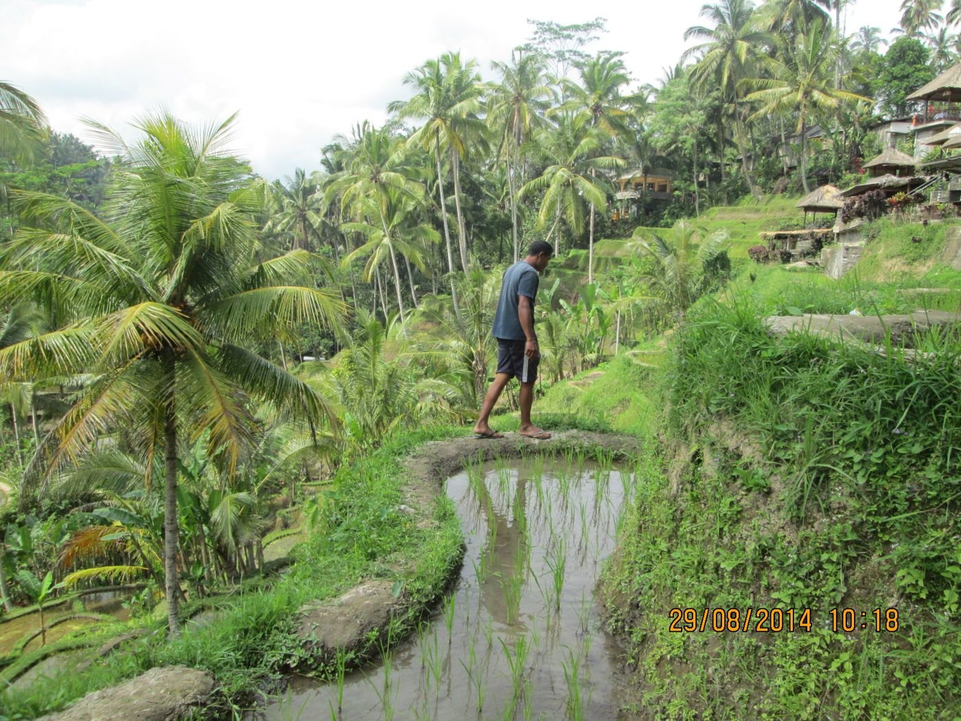 Ubud, Bali (Central Bali)