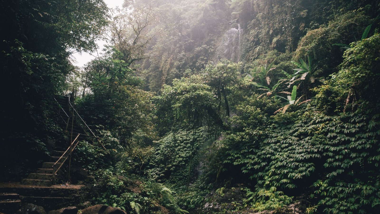 Vaccinations for Bali — Bali