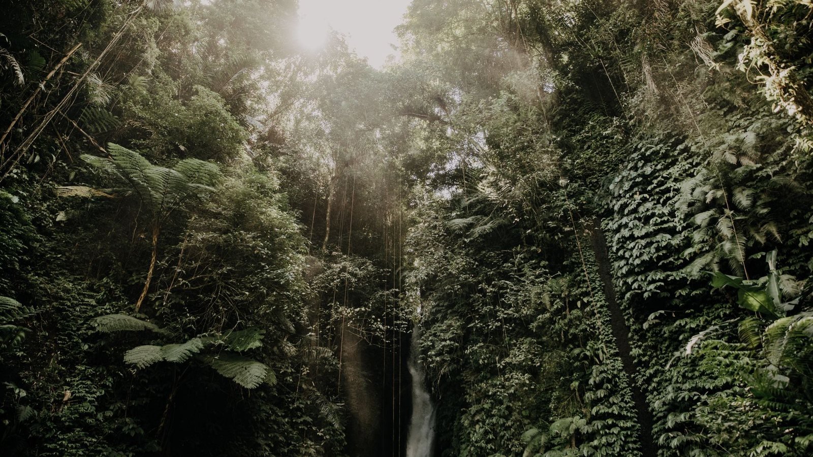 Waterfalls in Lovina, Bali
